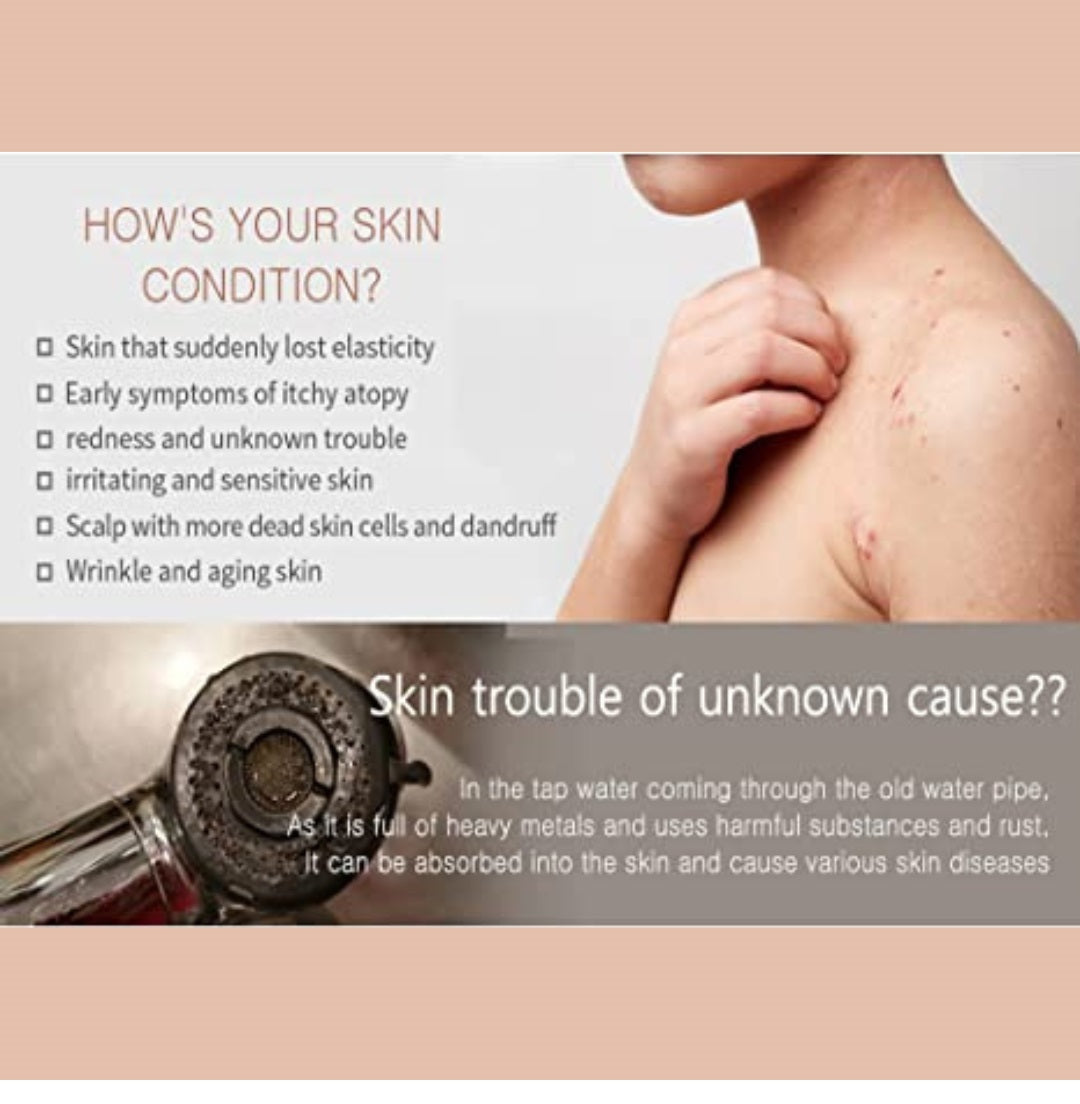 Korea Ever-Vita Vitamin Shower Filter Chlorine Remover with Aromatherapy