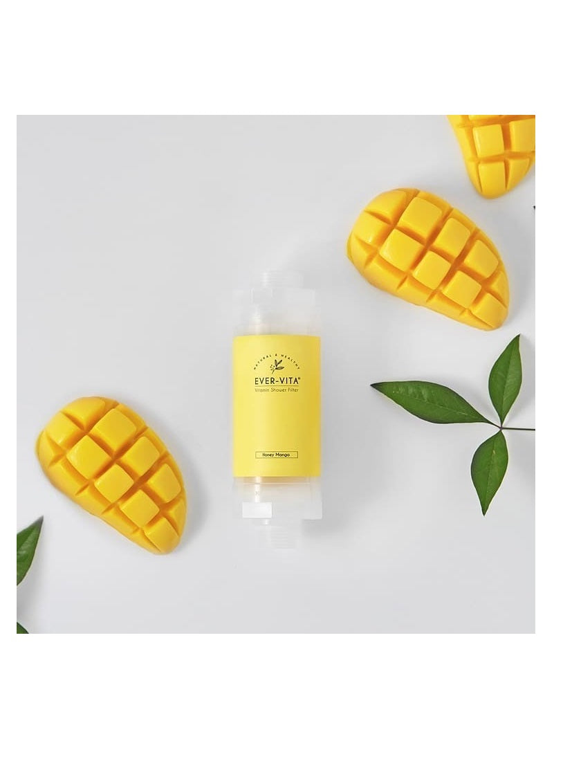 Korea Ever-Vita Vitamin Shower Filter Chlorine Remover with Aromatherapy