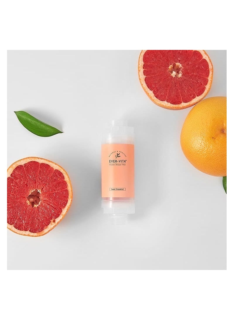 Korea Ever-Vita Vitamin Shower Filter Chlorine Remover with Aromatherapy