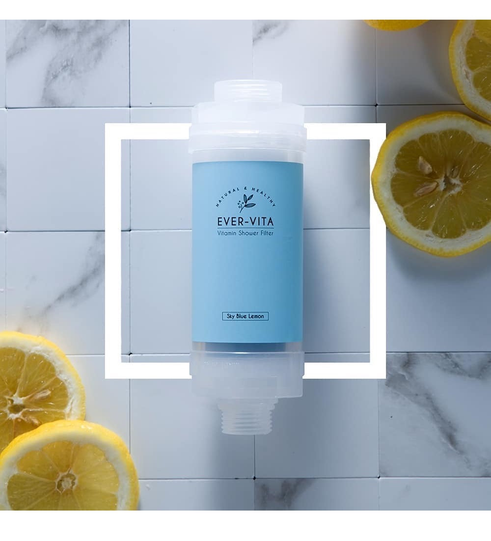 Korea Ever-Vita Vitamin Shower Filter Chlorine Remover with Aromatherapy