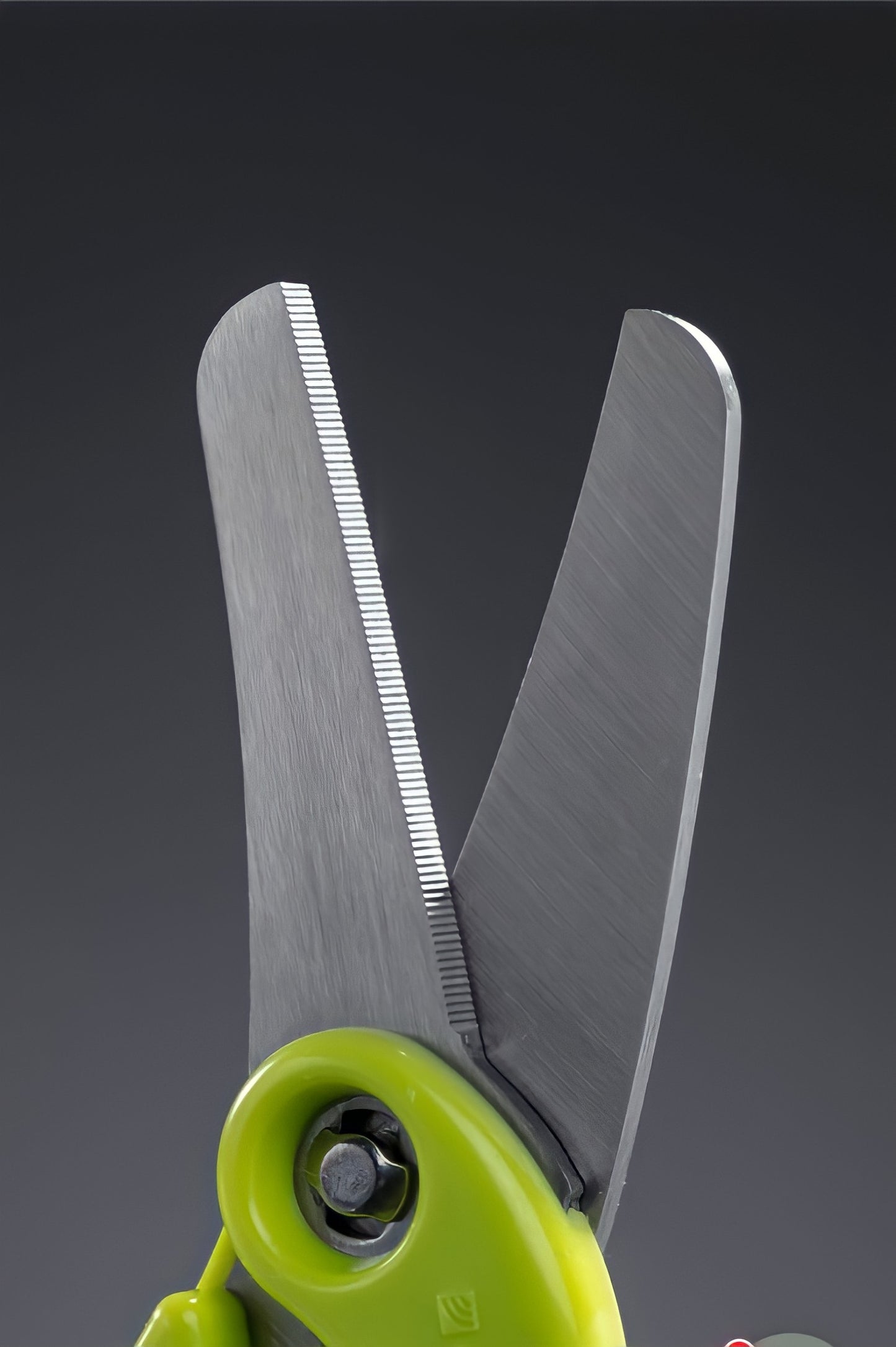 GreenBell Japan Baby Food Cutter Scissors BA 003