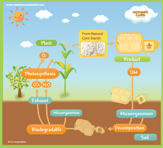 Mother’s Corn Meal Plate